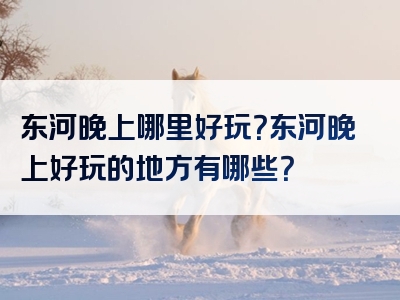 东河晚上哪里好玩？东河晚上好玩的地方有哪些？