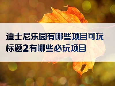 迪士尼乐园有哪些项目可玩标题2有哪些必玩项目