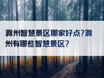 滁州智慧景区哪家好点？滁州有哪些智慧景区？
