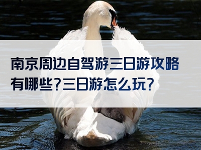 南京周边自驾游三日游攻略有哪些？三日游怎么玩？