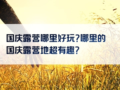 国庆露营哪里好玩？哪里的国庆露营地超有趣？