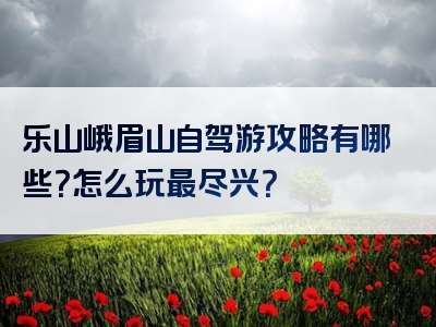 乐山峨眉山自驾游攻略有哪些？怎么玩最尽兴？
