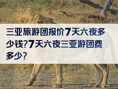 三亚旅游团报价7天六夜多少钱？7天六夜三亚游团费多少？