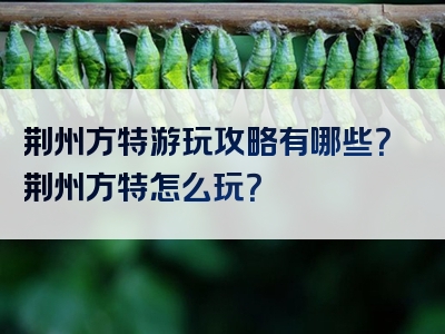 荆州方特游玩攻略有哪些？荆州方特怎么玩？