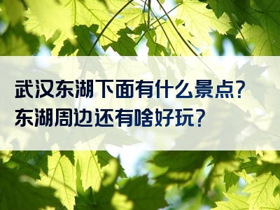 武汉东湖下面有什么景点？东湖周边还有啥好玩？