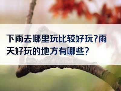 下雨去哪里玩比较好玩？雨天好玩的地方有哪些？