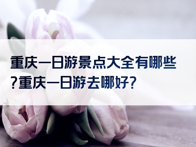 重庆一日游景点大全有哪些？重庆一日游去哪好？