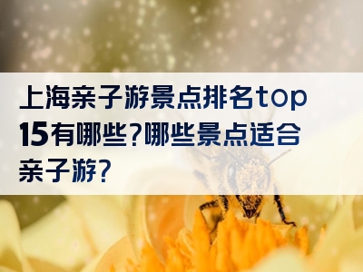 上海亲子游景点排名top15有哪些？哪些景点适合亲子游？