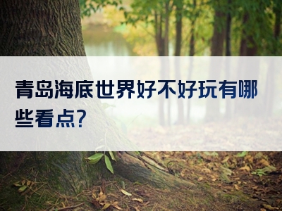青岛海底世界好不好玩有哪些看点？