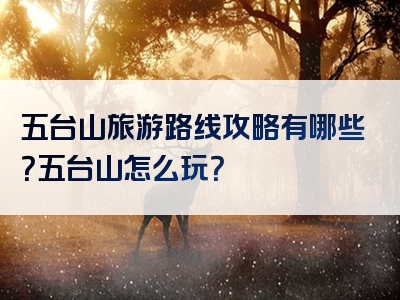 五台山旅游路线攻略有哪些？五台山怎么玩？