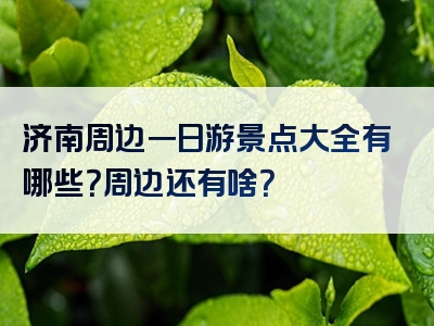 济南周边一日游景点大全有哪些？周边还有啥？