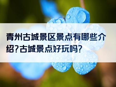青州古城景区景点有哪些介绍？古城景点好玩吗？