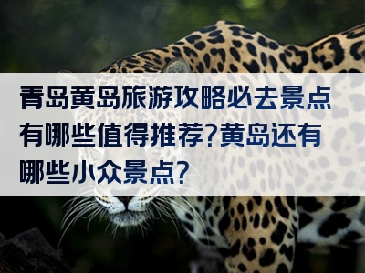 青岛黄岛旅游攻略必去景点有哪些值得推荐？黄岛还有哪些小众景点？