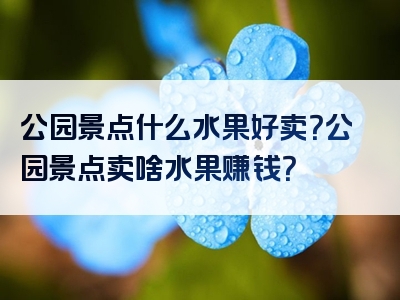 公园景点什么水果好卖？公园景点卖啥水果赚钱？