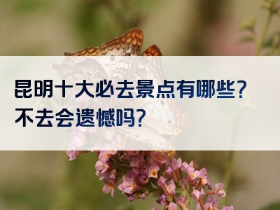昆明十大必去景点有哪些？不去会遗憾吗？