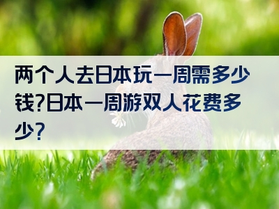 两个人去日本玩一周需多少钱？日本一周游双人花费多少？