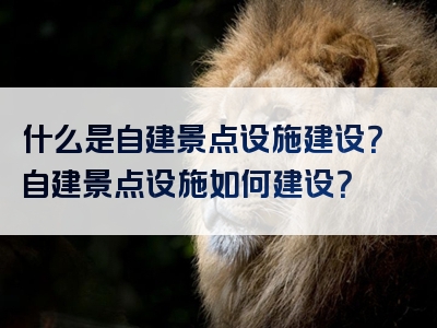 什么是自建景点设施建设？自建景点设施如何建设？