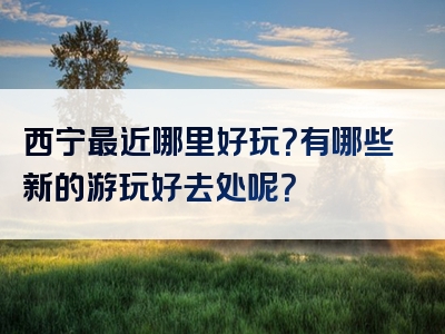 西宁最近哪里好玩？有哪些新的游玩好去处呢？