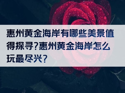惠州黄金海岸有哪些美景值得探寻？惠州黄金海岸怎么玩最尽兴？