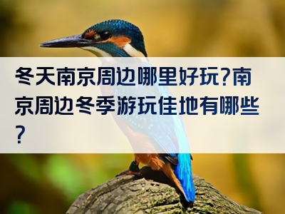 冬天南京周边哪里好玩？南京周边冬季游玩佳地有哪些？