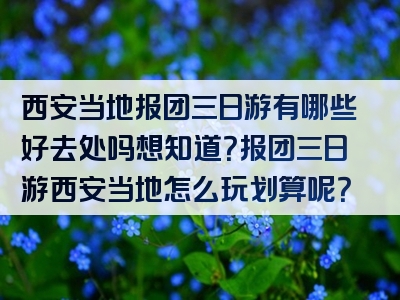 西安当地报团三日游有哪些好去处吗想知道？报团三日游西安当地怎么玩划算呢？