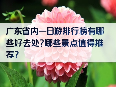广东省内一日游排行榜有哪些好去处？哪些景点值得推荐？