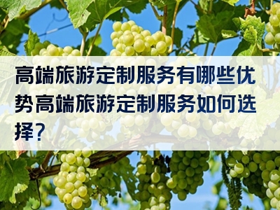 高端旅游定制服务有哪些优势高端旅游定制服务如何选择？