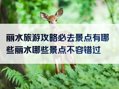 丽水旅游攻略必去景点有哪些丽水哪些景点不容错过