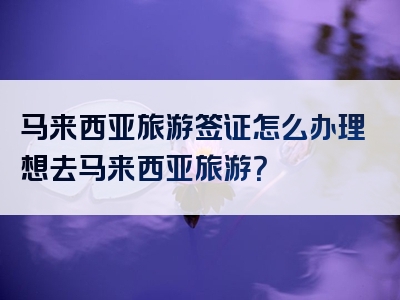 马来西亚旅游签证怎么办理想去马来西亚旅游？