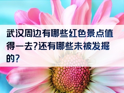 武汉周边有哪些红色景点值得一去？还有哪些未被发掘的？