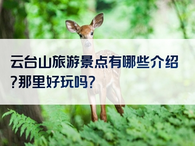 云台山旅游景点有哪些介绍？那里好玩吗？