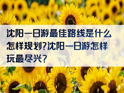 沈阳一日游最佳路线是什么怎样规划？沈阳一日游怎样玩最尽兴？