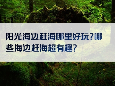 阳光海边赶海哪里好玩？哪些海边赶海超有趣？