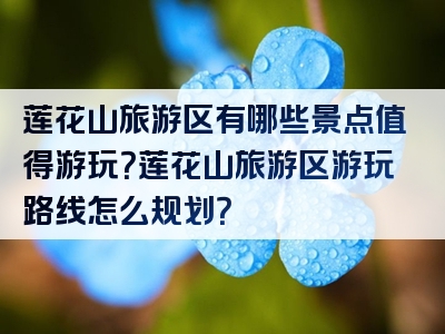 莲花山旅游区有哪些景点值得游玩？莲花山旅游区游玩路线怎么规划？