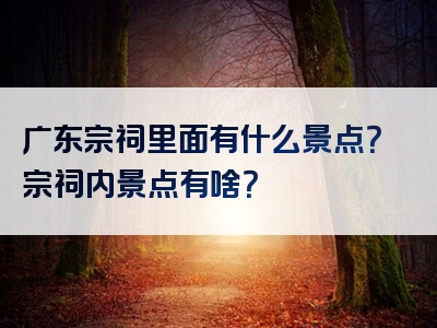广东宗祠里面有什么景点？宗祠内景点有啥？
