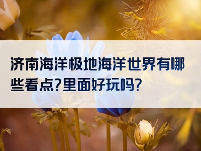 济南海洋极地海洋世界有哪些看点？里面好玩吗？