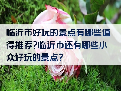 临沂市好玩的景点有哪些值得推荐？临沂市还有哪些小众好玩的景点？