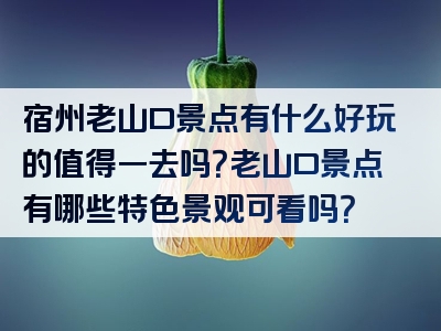 宿州老山口景点有什么好玩的值得一去吗？老山口景点有哪些特色景观可看吗？