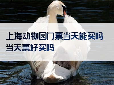 上海动物园门票当天能买吗当天票好买吗
