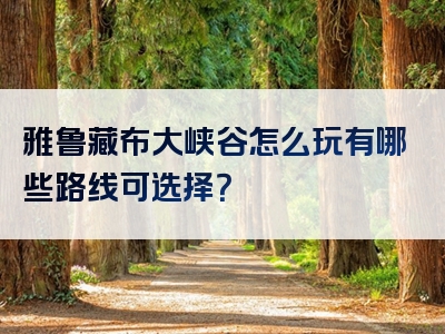 雅鲁藏布大峡谷怎么玩有哪些路线可选择？