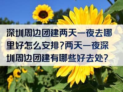 深圳周边团建两天一夜去哪里好怎么安排？两天一夜深圳周边团建有哪些好去处？