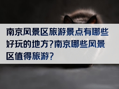 南京风景区旅游景点有哪些好玩的地方？南京哪些风景区值得旅游？