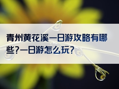 青州黄花溪一日游攻略有哪些？一日游怎么玩？