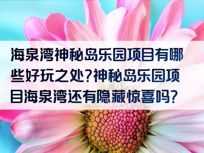 海泉湾神秘岛乐园项目有哪些好玩之处？神秘岛乐园项目海泉湾还有隐藏惊喜吗？