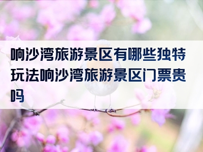 响沙湾旅游景区有哪些独特玩法响沙湾旅游景区门票贵吗