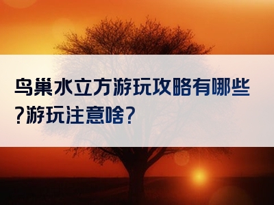 鸟巢水立方游玩攻略有哪些？游玩注意啥？