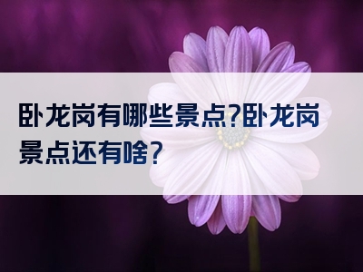 卧龙岗有哪些景点？卧龙岗景点还有啥？