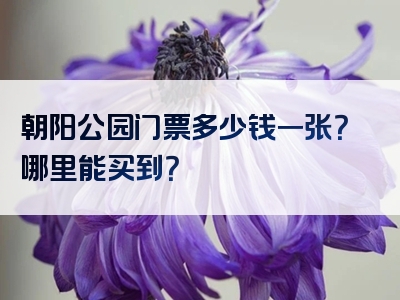 朝阳公园门票多少钱一张？哪里能买到？