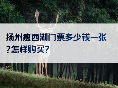 扬州瘦西湖门票多少钱一张？怎样购买？