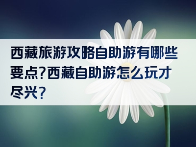 西藏旅游攻略自助游有哪些要点？西藏自助游怎么玩才尽兴？
